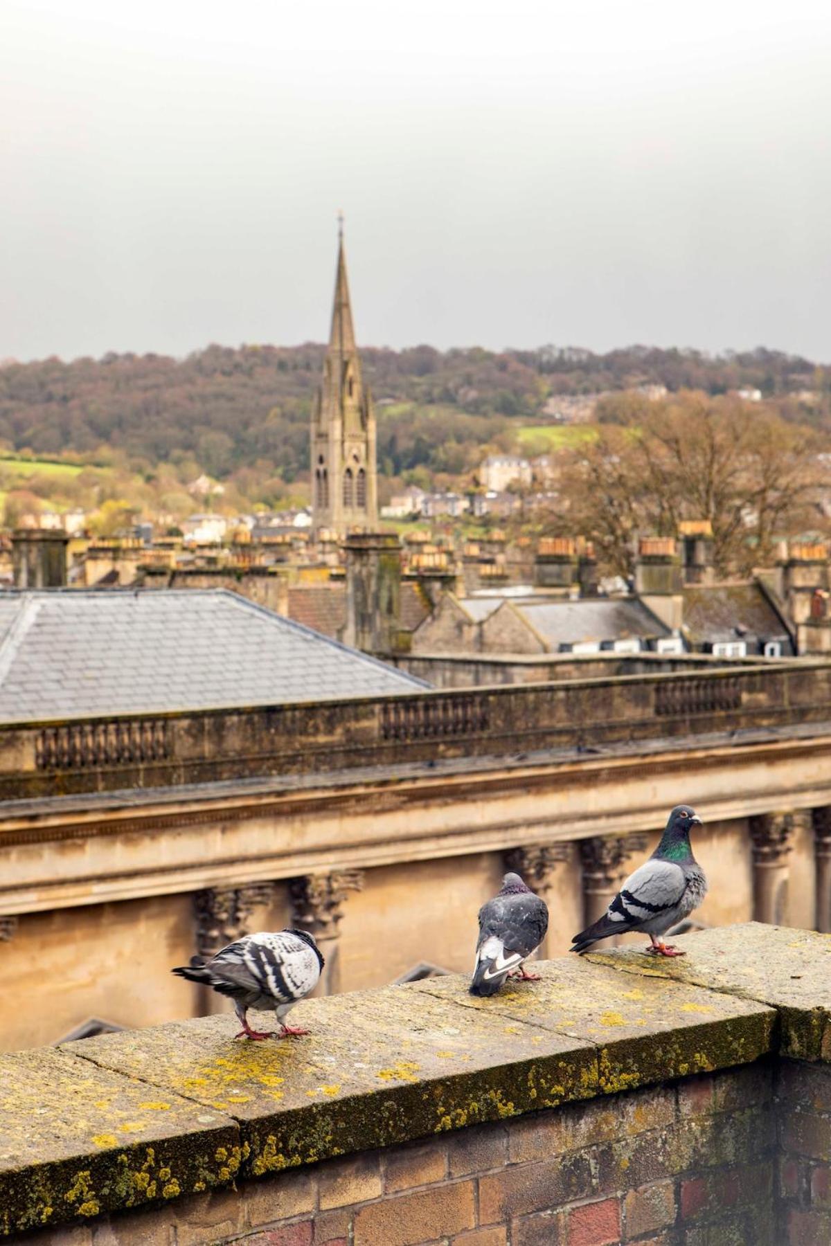 Апартаменты Bath Abbey Views - Stylish & Central Экстерьер фото